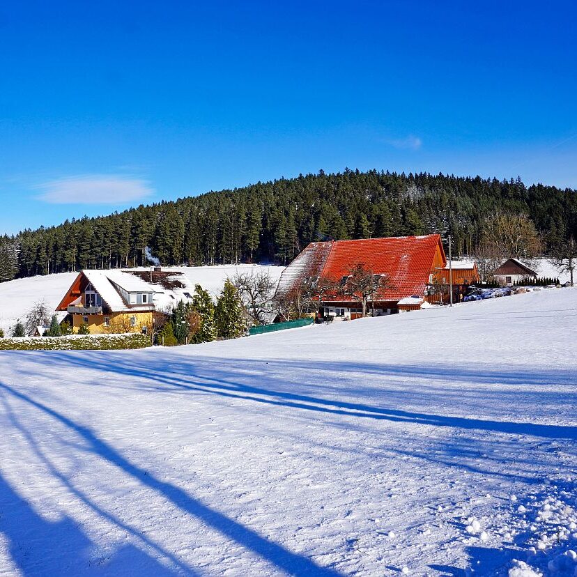 Winter schützen Hub Mittelberg 06