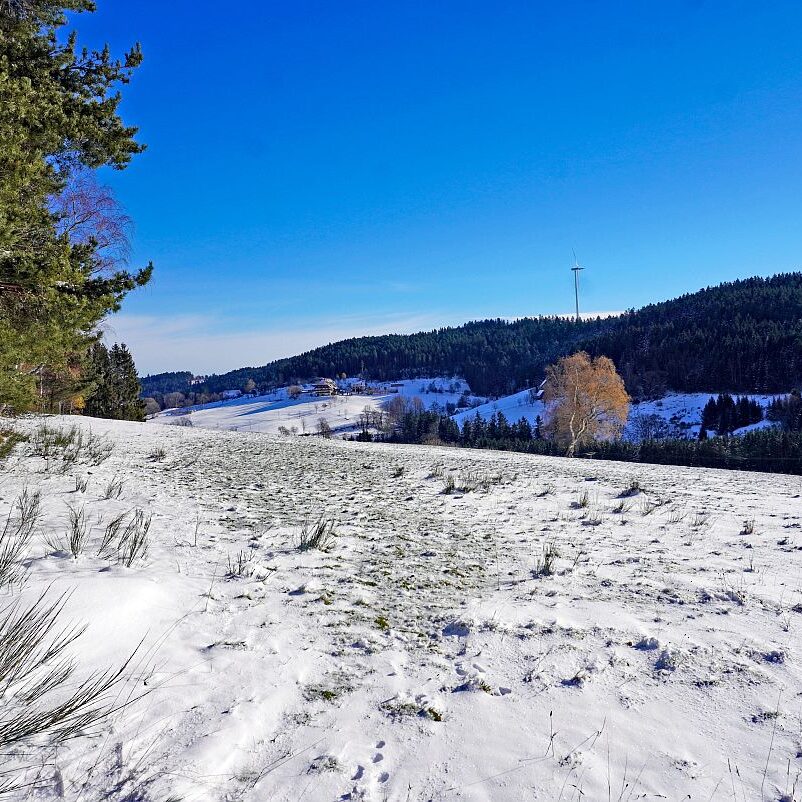 Winter schützen Hub Mittelberg 11