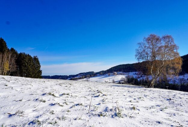 Winter schützen Hub Mittelberg 12