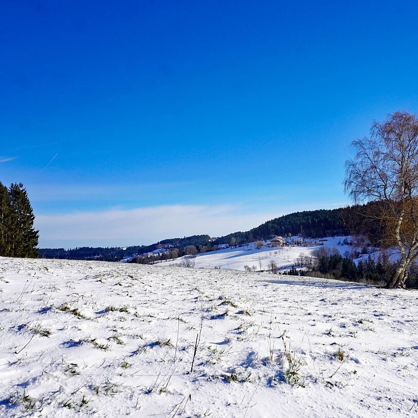 Winter schützen Hub Mittelberg 12