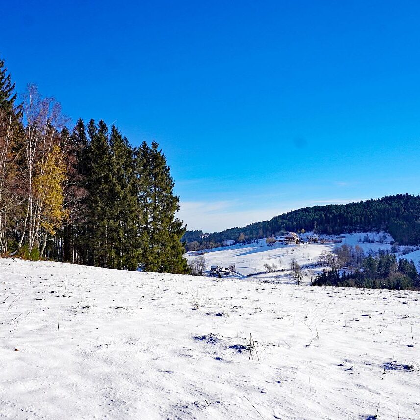 Winter schützen Hub Mittelberg 14
