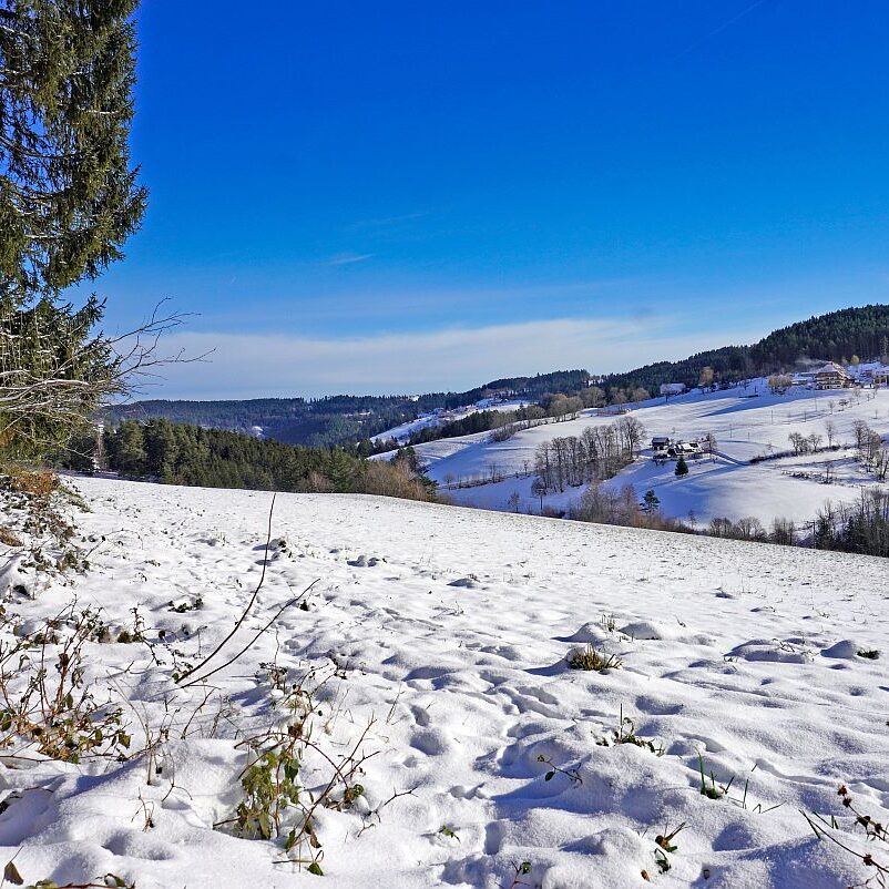 Winter schützen Hub Mittelberg 15