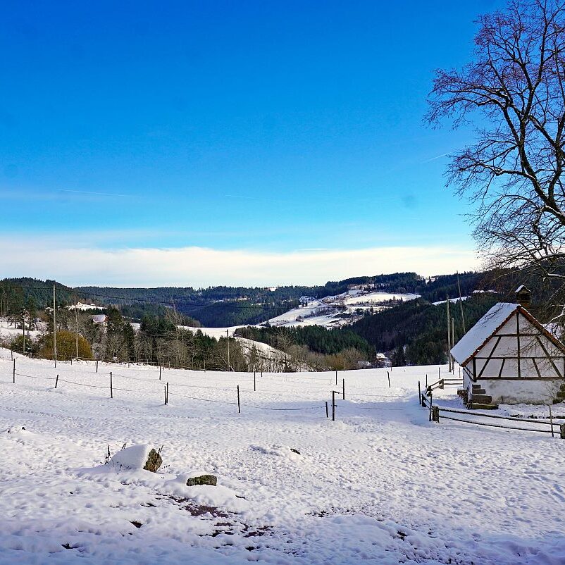 Winter schützen Hub Mittelberg 16