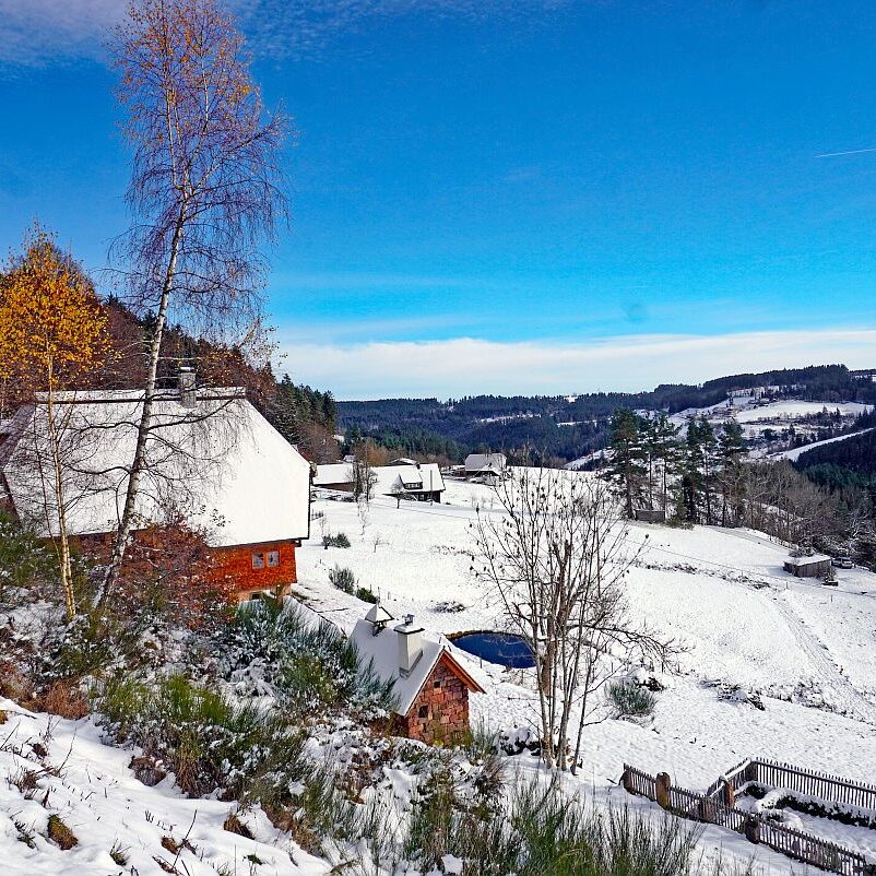 Winter schützen Hub Mittelberg 18