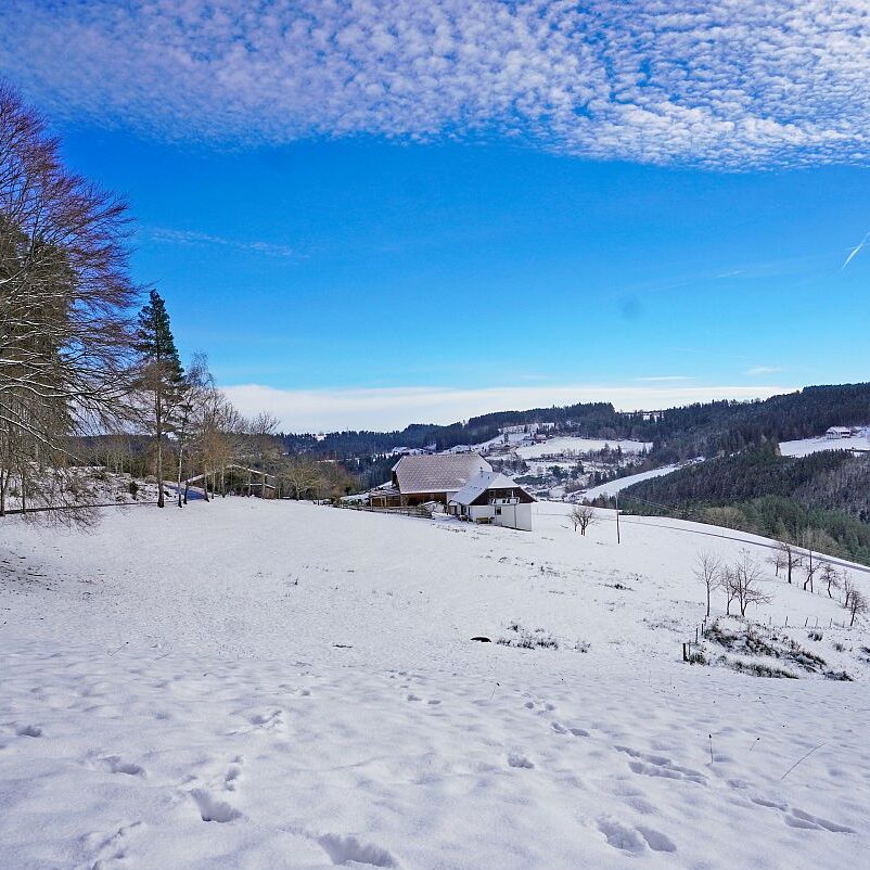 Winter schützen Hub Mittelberg 20