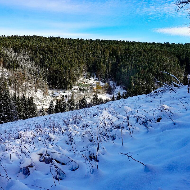 Winter schützen Hub Mittelberg 22