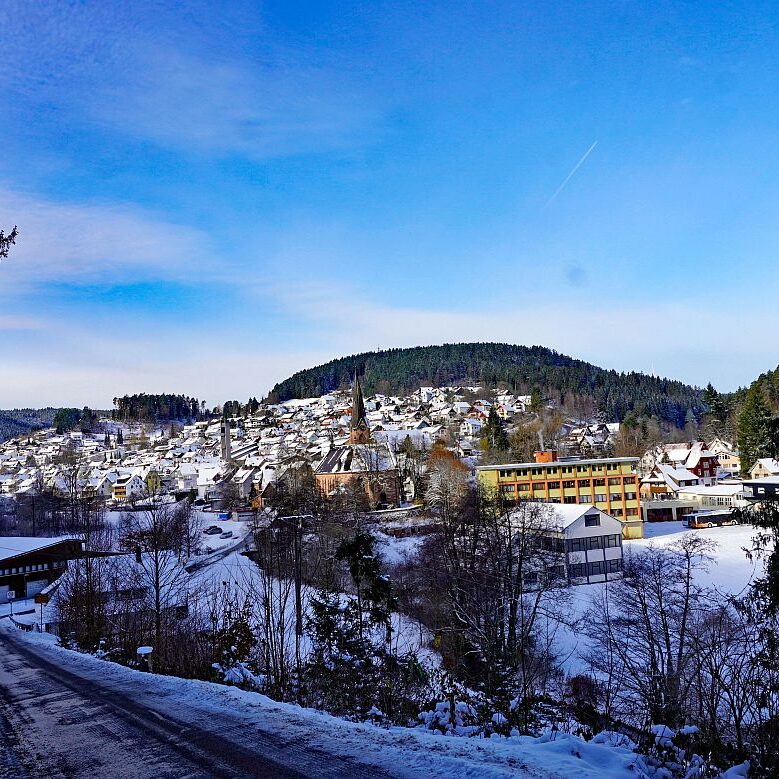 Winter schützen Hub Mittelberg 23