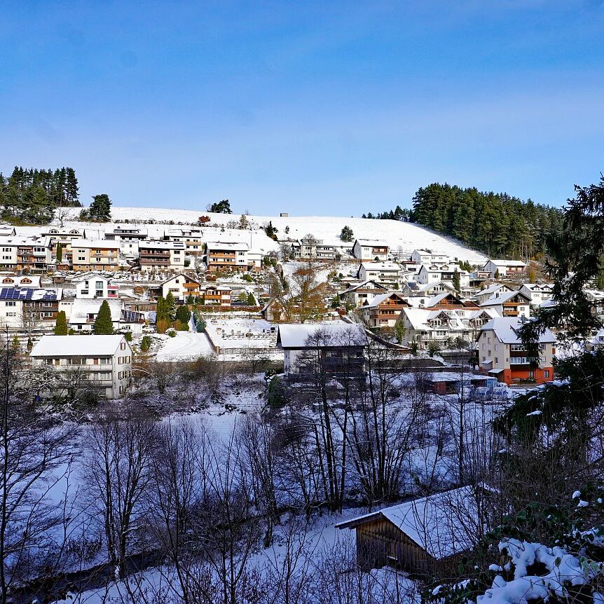 Winter schützen Hub Mittelberg 24
