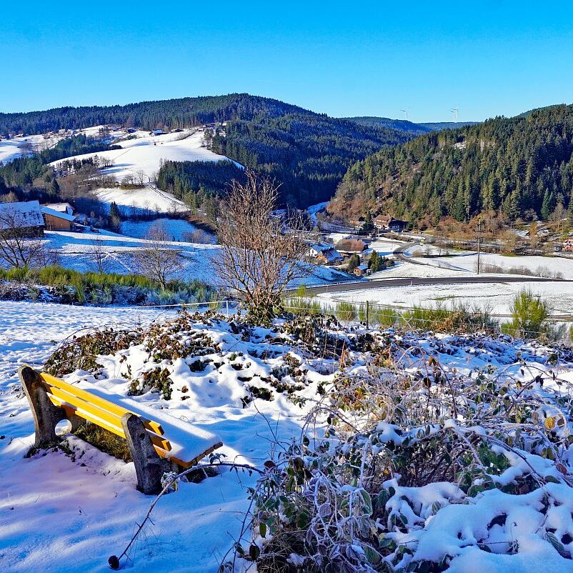 Bach Altenburg Mul Langenberg Mittelberg 06