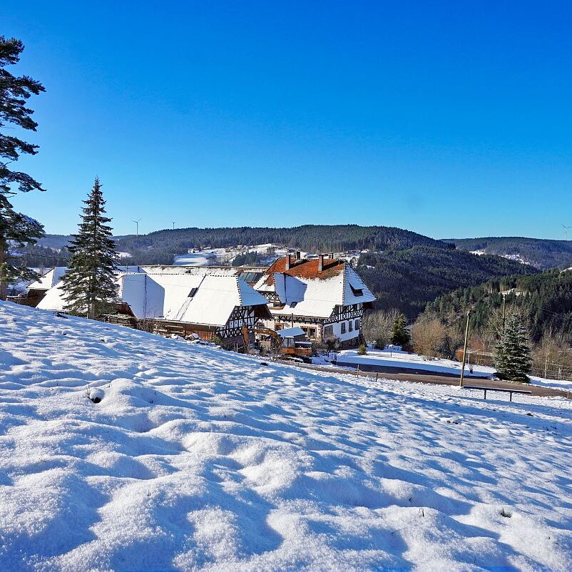 Bach Altenburg Mul Langenberg Mittelberg 07