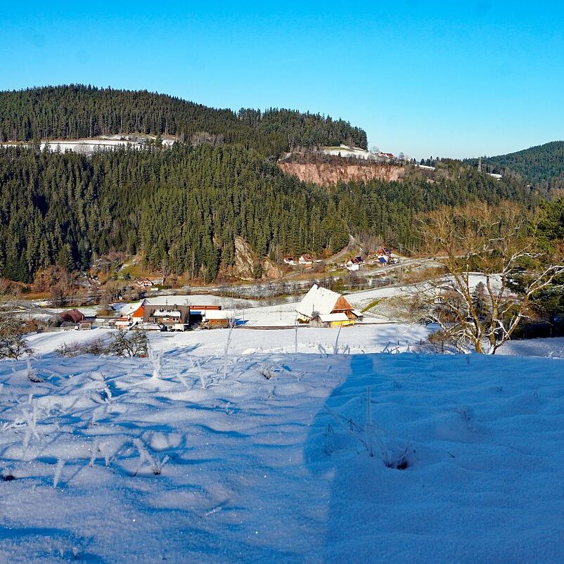 Bach Altenburg Mul Langenberg Mittelberg 09