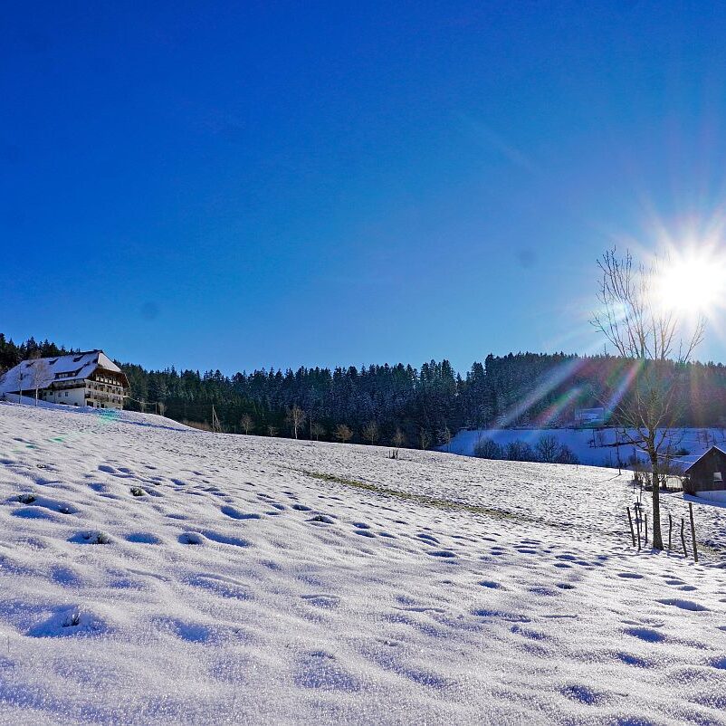 Bach Altenburg Mul Langenberg Mittelberg 13