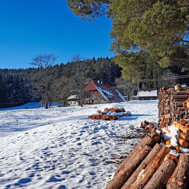 Bach Altenburg Mul Langenberg Mittelberg 17