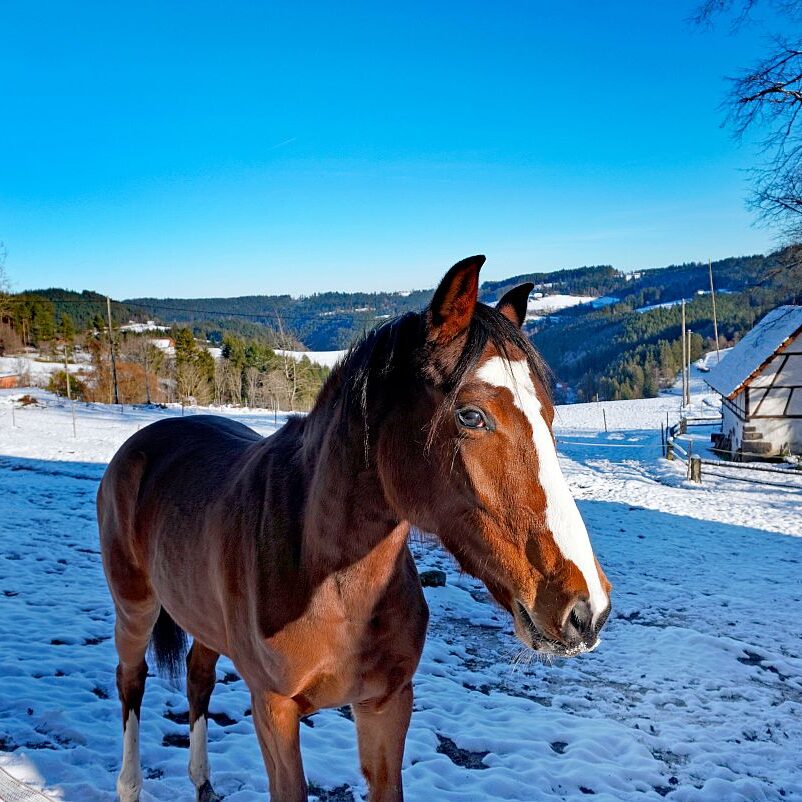 Bach Altenburg Mul Langenberg Mittelberg 18