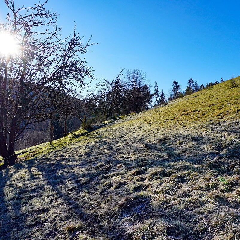Kässeppenberg Lindehiesle Schützen 03