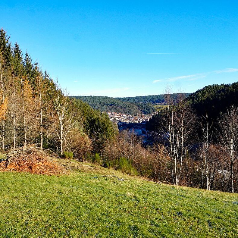 Kässeppenberg Lindehiesle Schützen 10