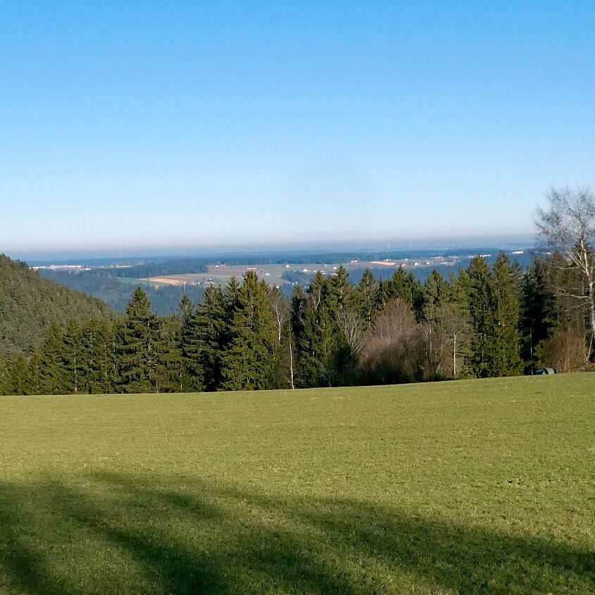 Remsbach Purpenhalde 02