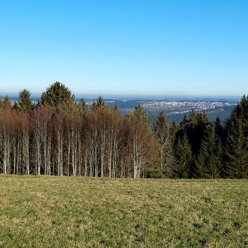 Remsbach Purpenhalde 03