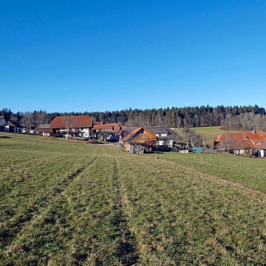 Remsbach Purpenhalde 04