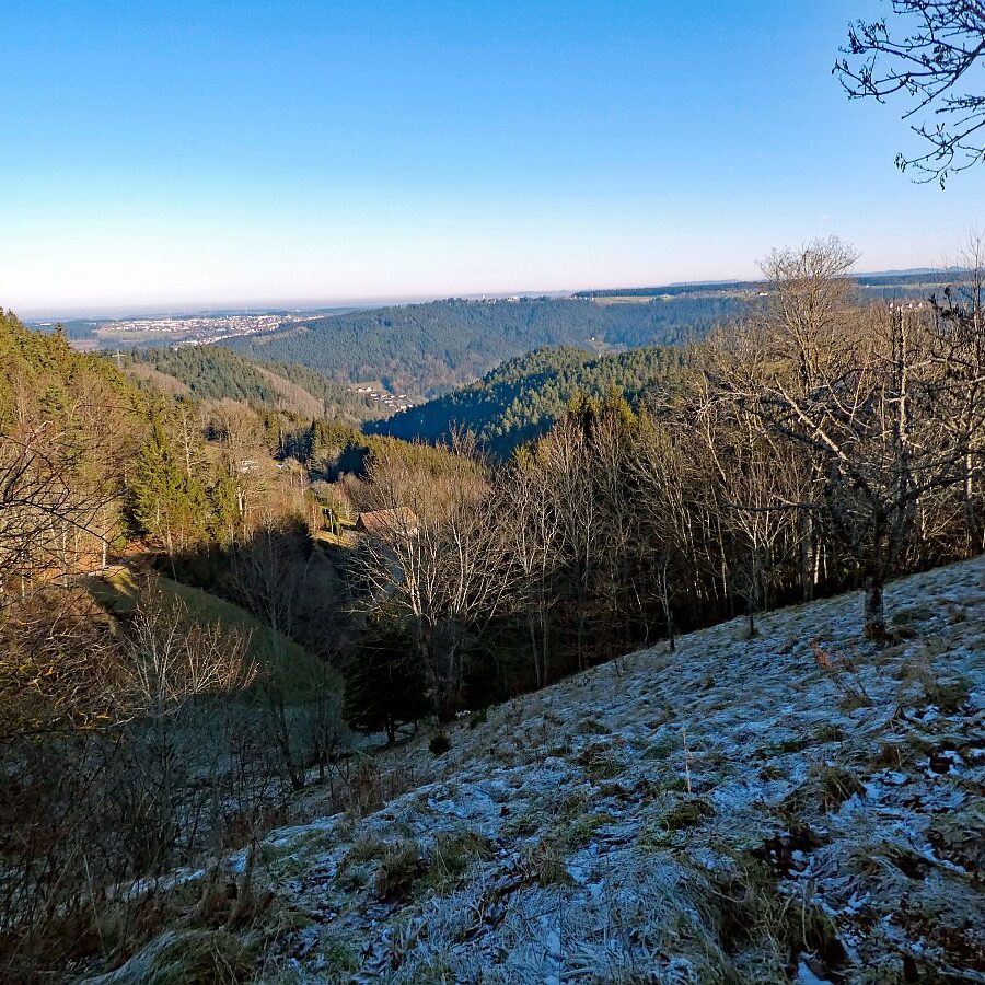 Remsbach Purpenhalde 05