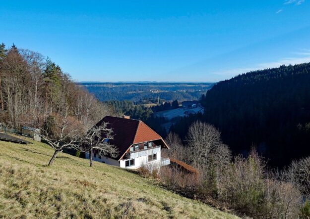 Remsbach Purpenhalde 06