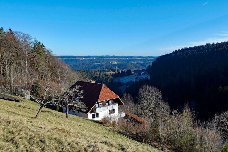 Remsbach Purpenhalde 06 Remsbach Purpenhalde 06