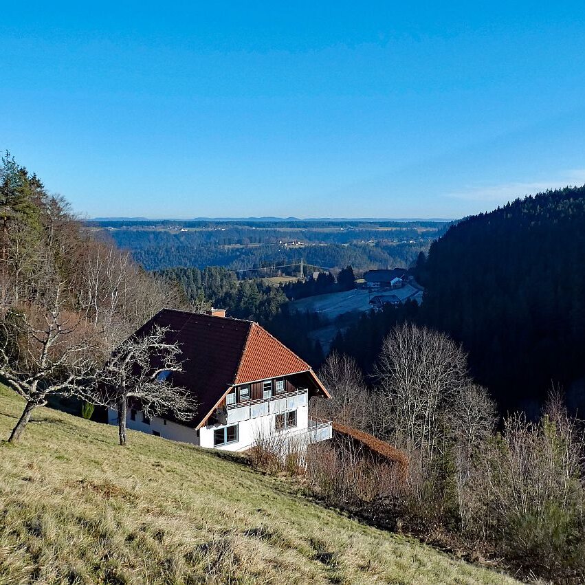 Remsbach Purpenhalde 06