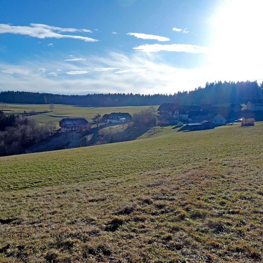 Remsbach Purpenhalde 07