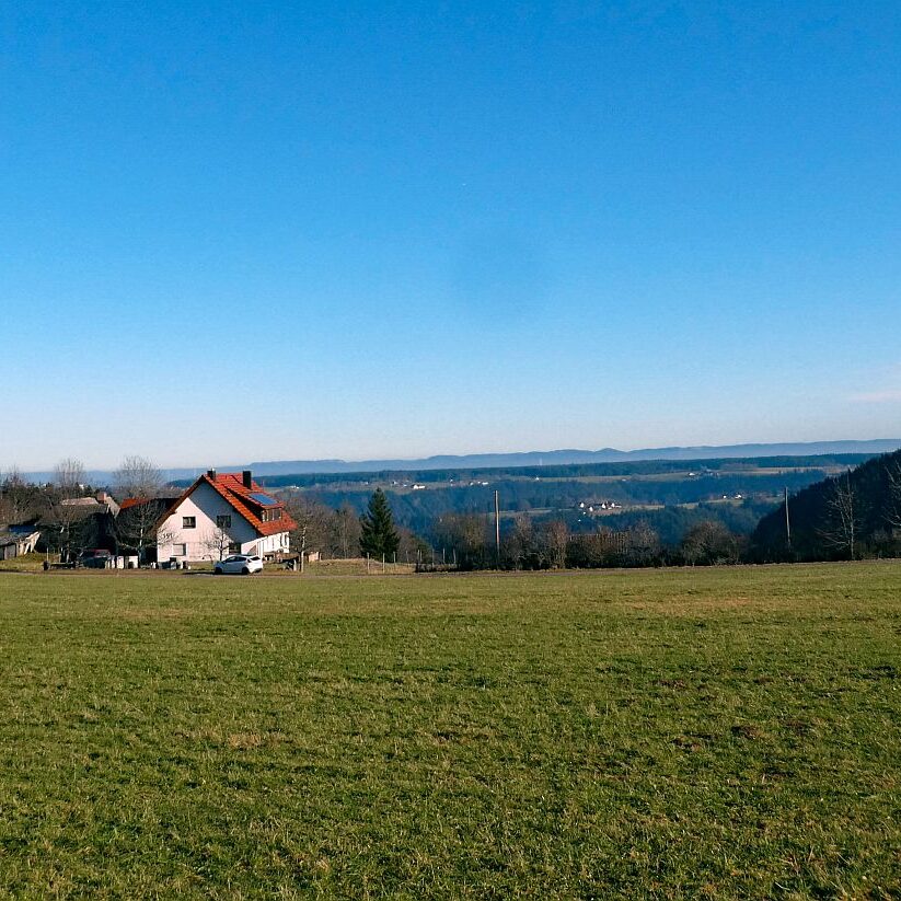 Remsbach Purpenhalde 08