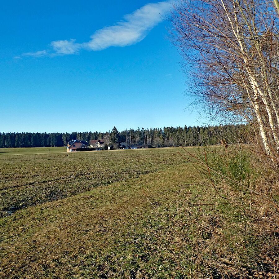 Remsbach Purpenhalde 09