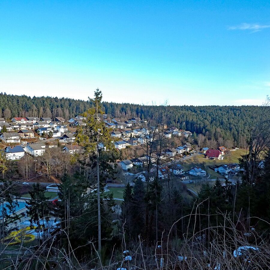 Remsbach Purpenhalde 10