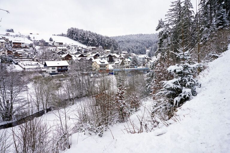 Schnee Tennenbronn 01 Schnee Tennenbronn 01