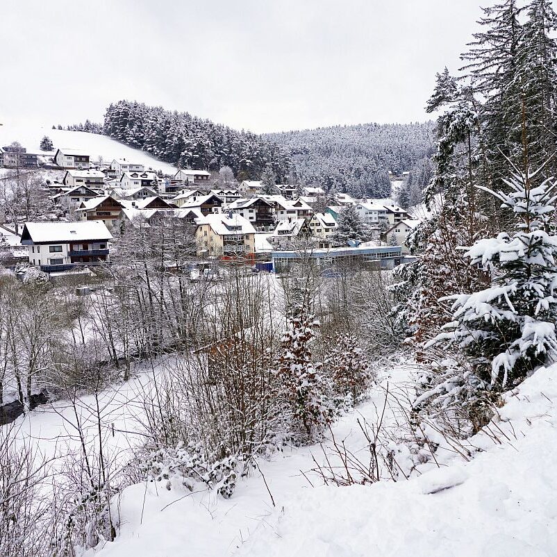 Schnee Tennenbronn 01