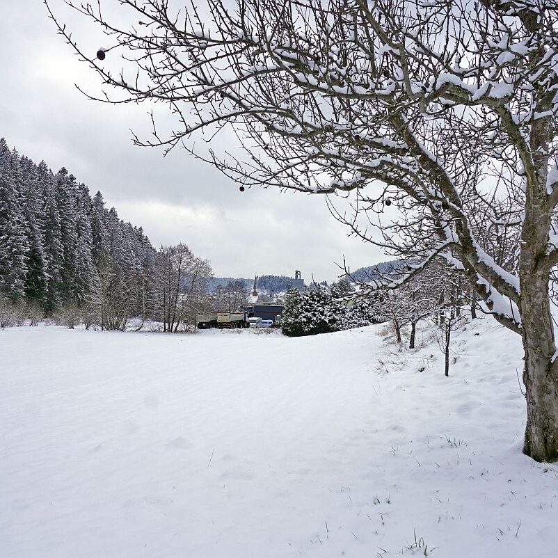 Schnee Tennenbronn 02