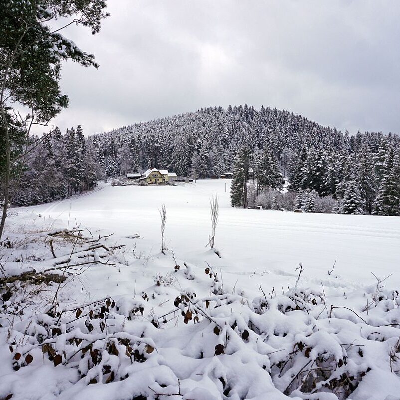 Schnee Tennenbronn 06