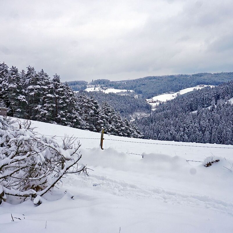 Schnee Tennenbronn 07