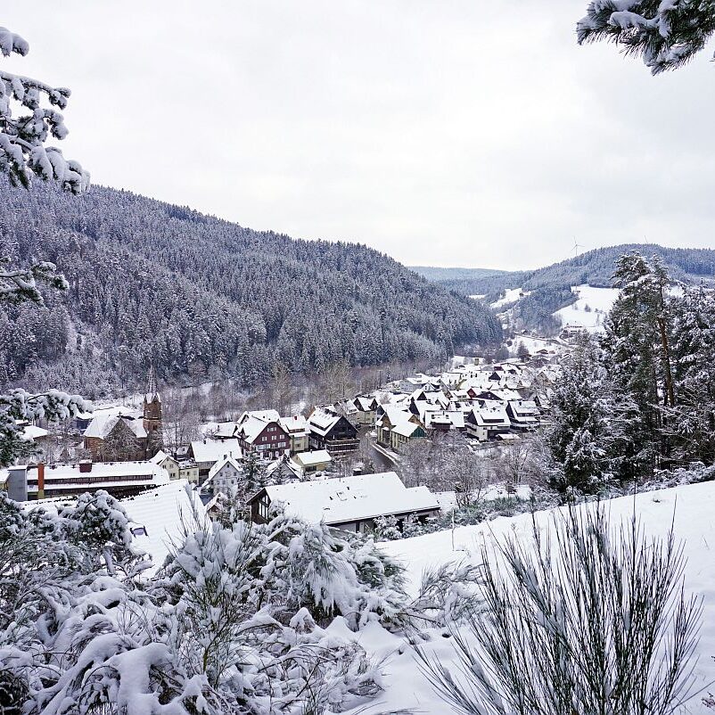 Schnee Tennenbronn 08