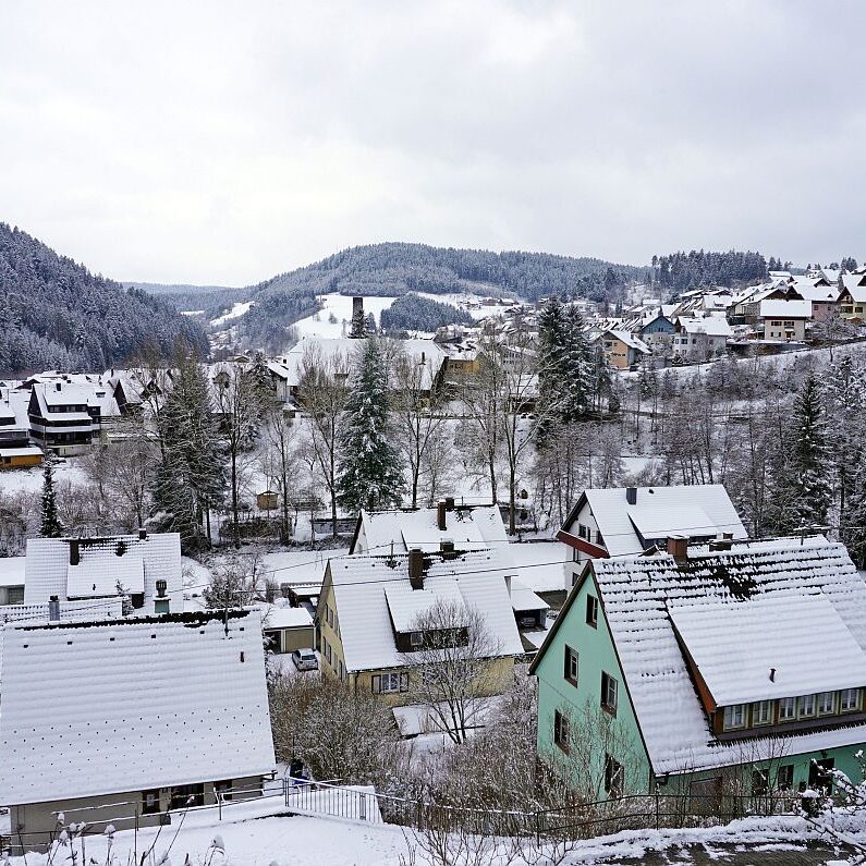 Schnee Tennenbronn 10