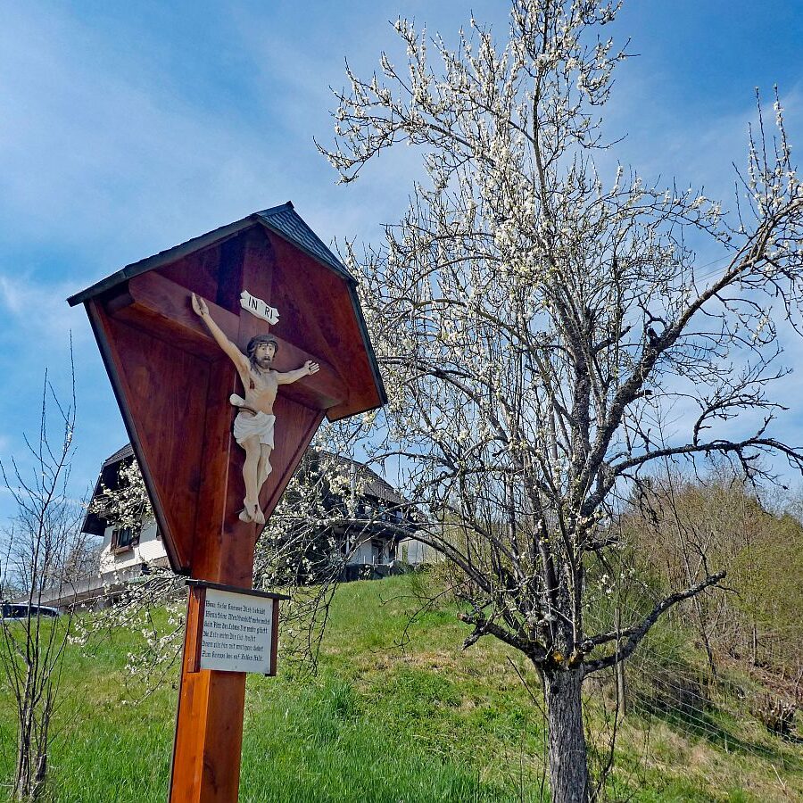 Dorfblickrunde Tennenbronn 02