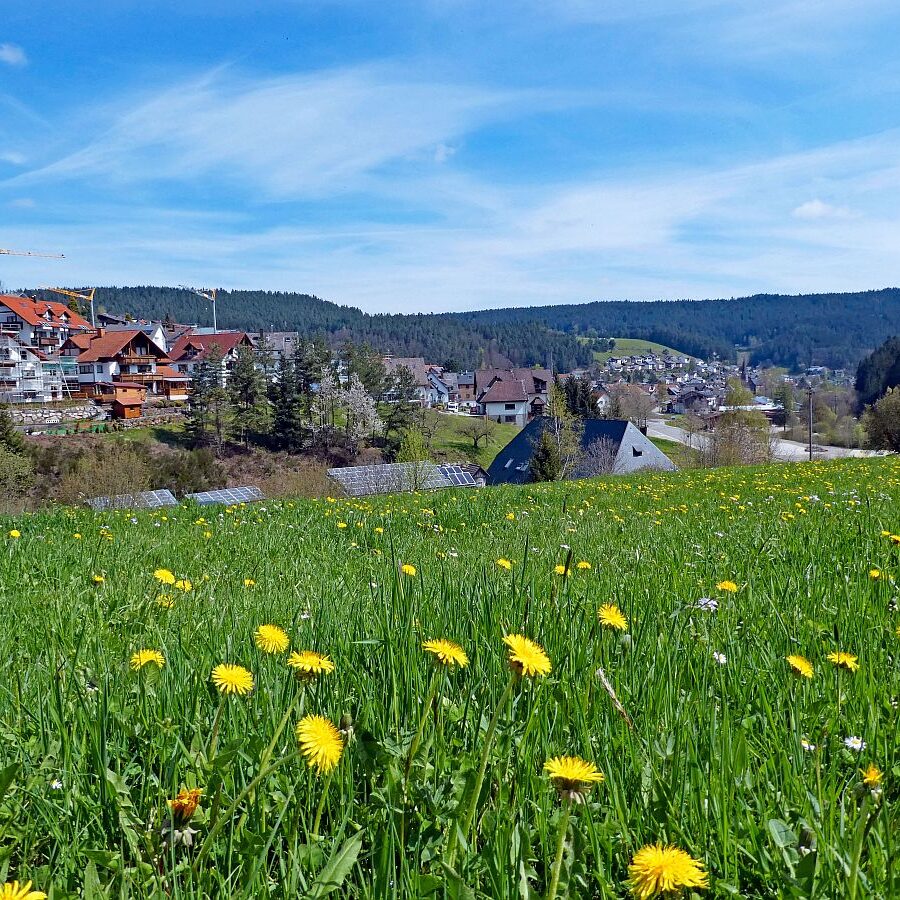 Dorfblickrunde Tennenbronn 03