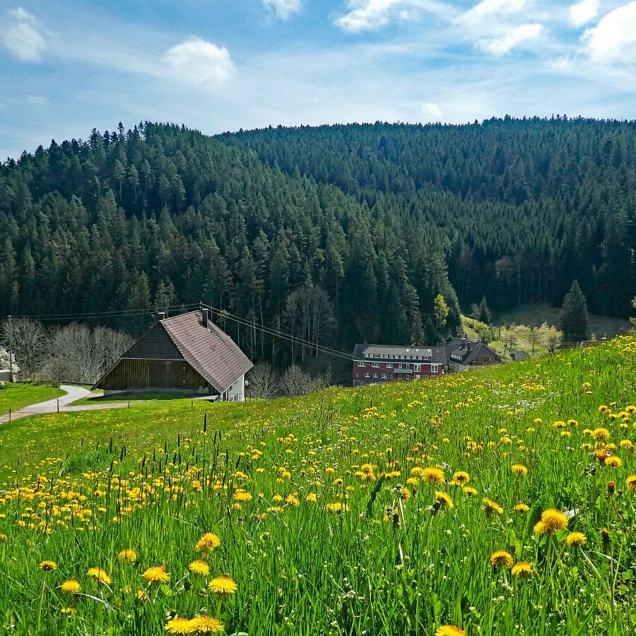 Dorfblickrunde Tennenbronn 05