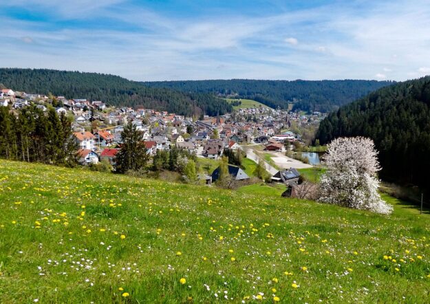 Dorfblickrunde Tennenbronn 06