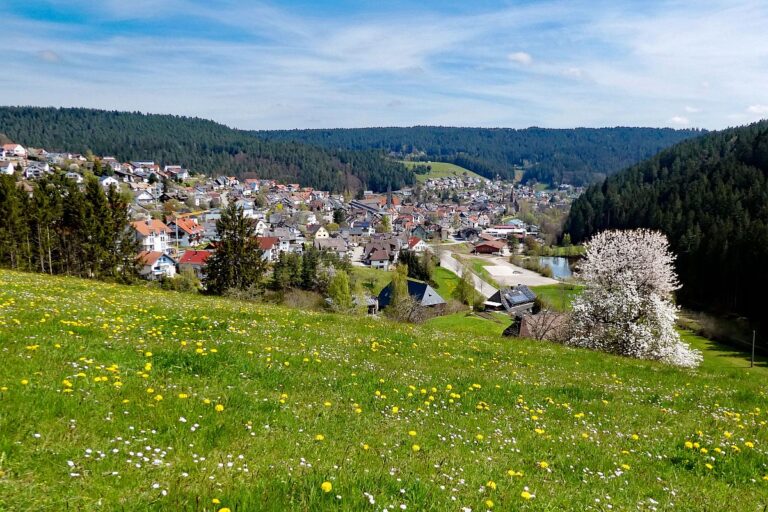 Dorfblickrunde Tennenbronn 06 Dorfblickrunde Tennenbronn 06
