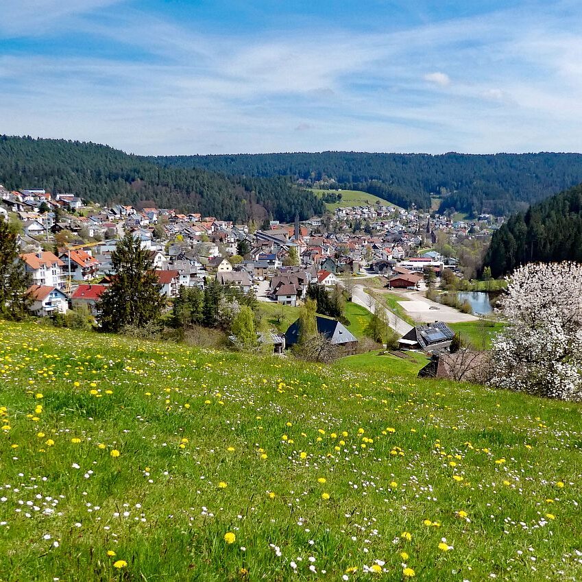 Dorfblickrunde Tennenbronn 06