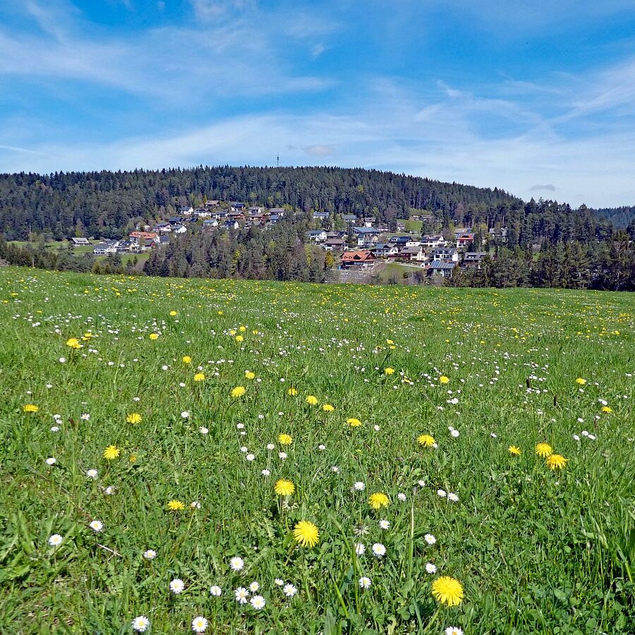 Dorfblickrunde Tennenbronn 07