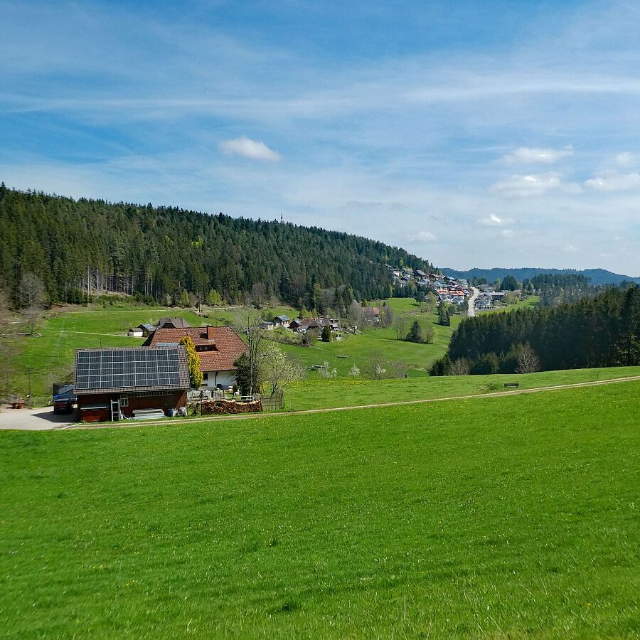 Dorfblickrunde Tennenbronn 08