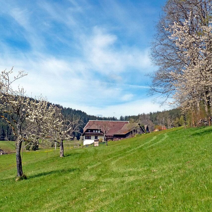 Dorfblickrunde Tennenbronn 09