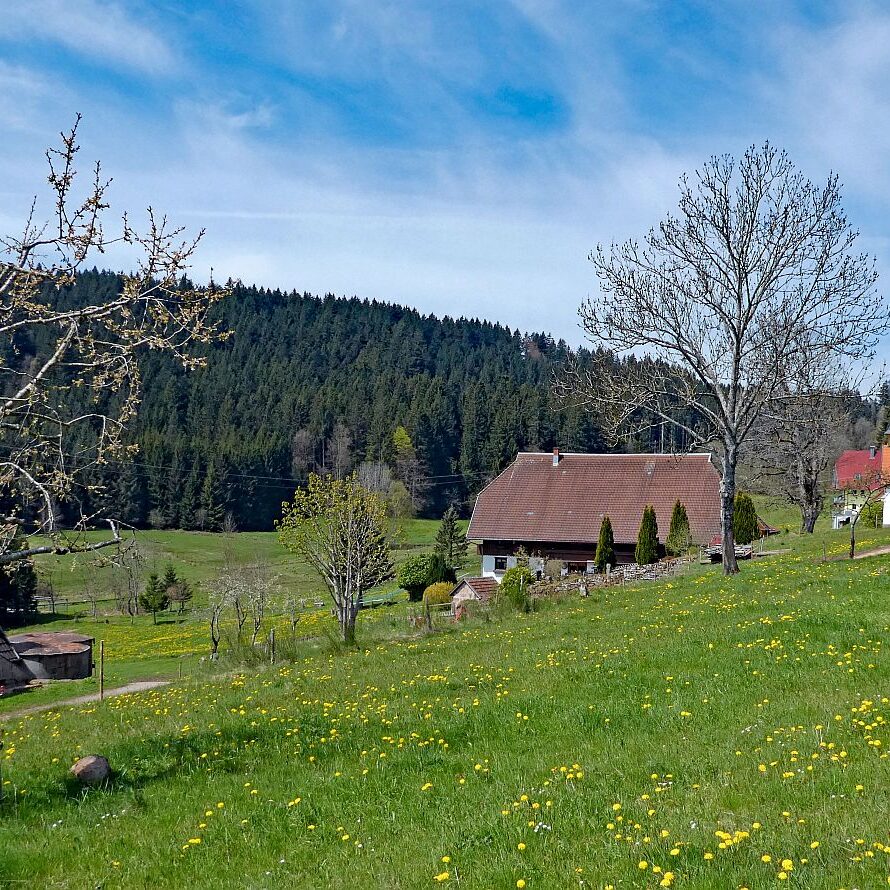 Dorfblickrunde Tennenbronn 10