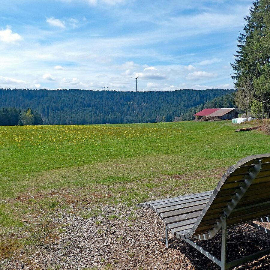 Dorfblickrunde Tennenbronn 13