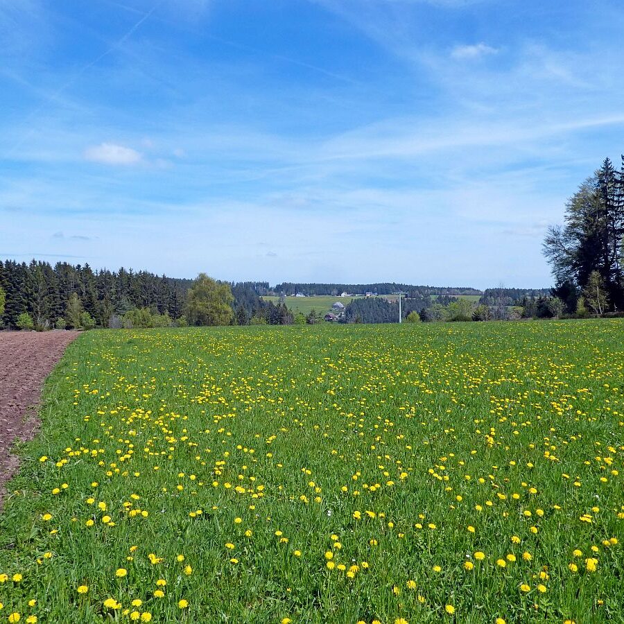 Dorfblickrunde Tennenbronn 15